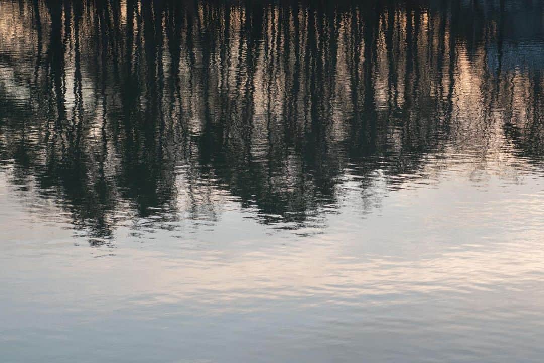 ヒラハルのグルメインスタ