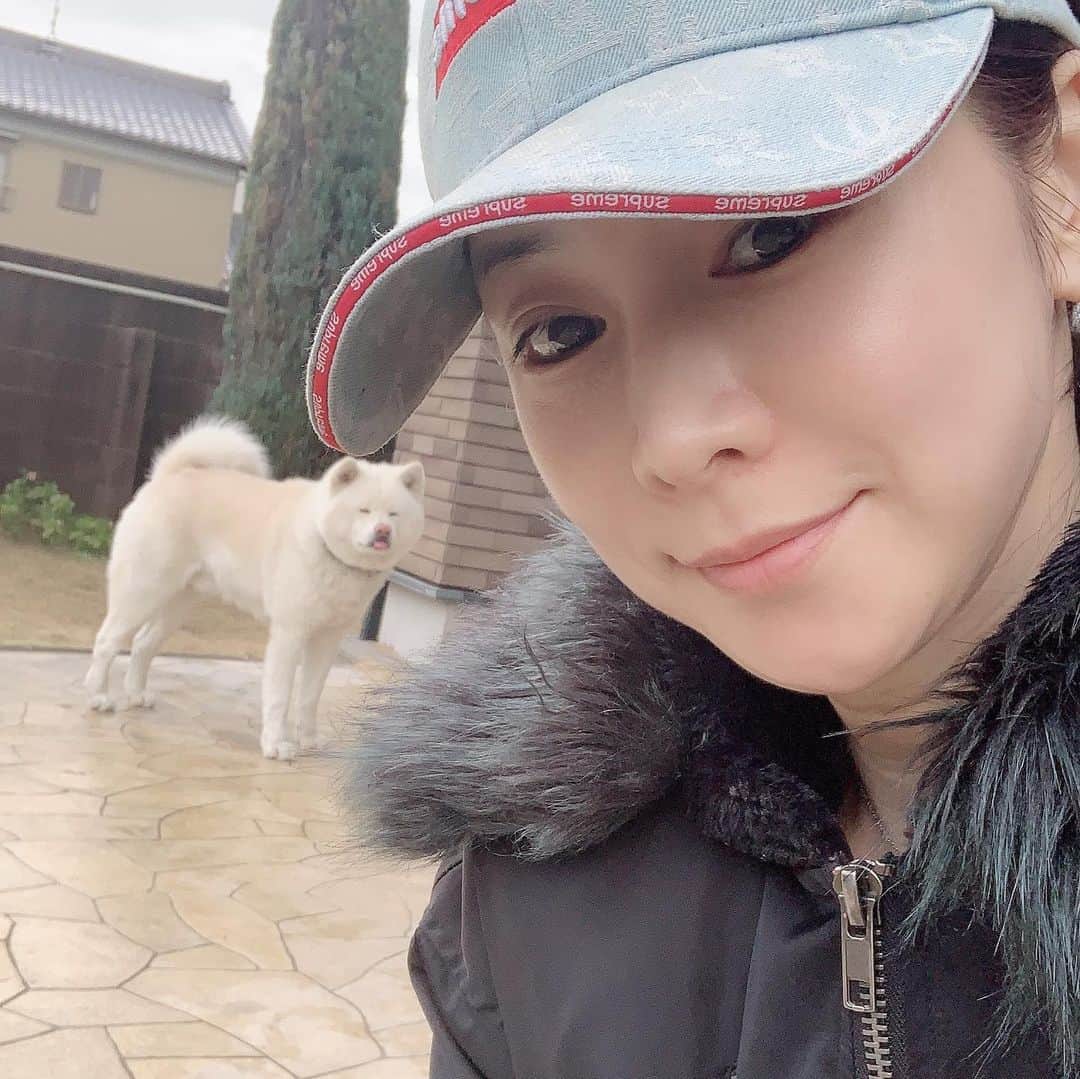 水谷雅子さんのインスタグラム写真 - (水谷雅子Instagram)「おはようございます！ 雨も上がり今朝はいつもより遅めの散歩です。🐶😊 今日は大晦日です！ 2019年皆さんどんな年でしたか？ 私は中国に行く事が多く、いろいろな経験をさせて頂いた年でした。✨✨ これもひとえにみなさんの力添えのおかげと、深く感謝しています。☺️❤️ 来年もどうぞよろしくお願い致します😌✨ みなさん良いお年をお迎え下さい🐹 #おはようございます  #大晦日#マグの散歩#いつもと変わらず #秋田犬#応援ありがとう#感謝 #水谷雅子#水谷雅子beautybook50の私」12月31日 9時22分 - mizutanimasako