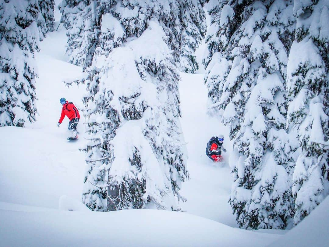 ケン・ブロックさんのインスタグラム写真 - (ケン・ブロックInstagram)「Epic to ride with these two friends and snowboard legends at @BaldfaceLodge: @TravisRice and @JamieMLynn. Great way to cap off our family's annual holiday visit to this amazing snowcat operation in the majestic mountains of BC, Canada. Always great hangs and shreds with these two (and watch Jamie make art). #powderfiends #shredlegends #perfectholiday #BaldfaceLodge」12月31日 1時28分 - kblock43