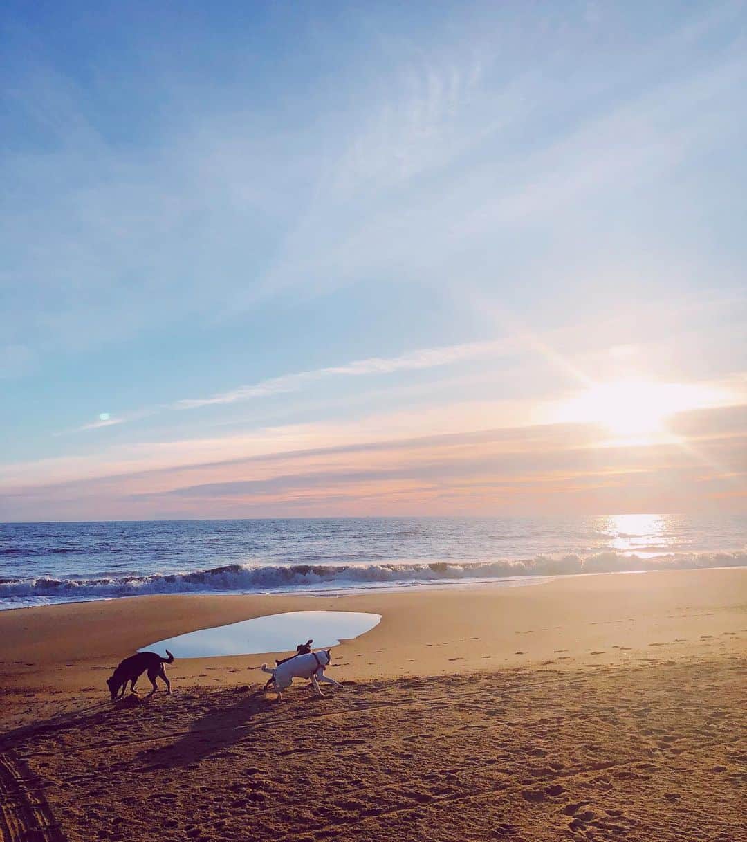 Grace Bonneyのインスタグラム：「Reflections on Christmas at the beach. Not a bad way to spend the holiday 💛 🌊 🐕」