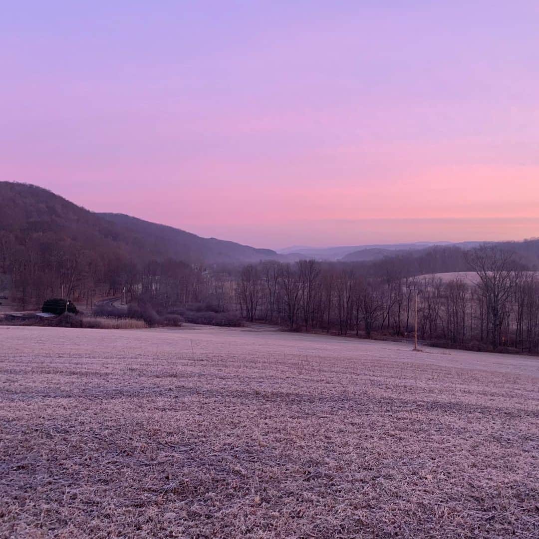 オードリー・ゲルマンのインスタグラム：「morning in pine plains」