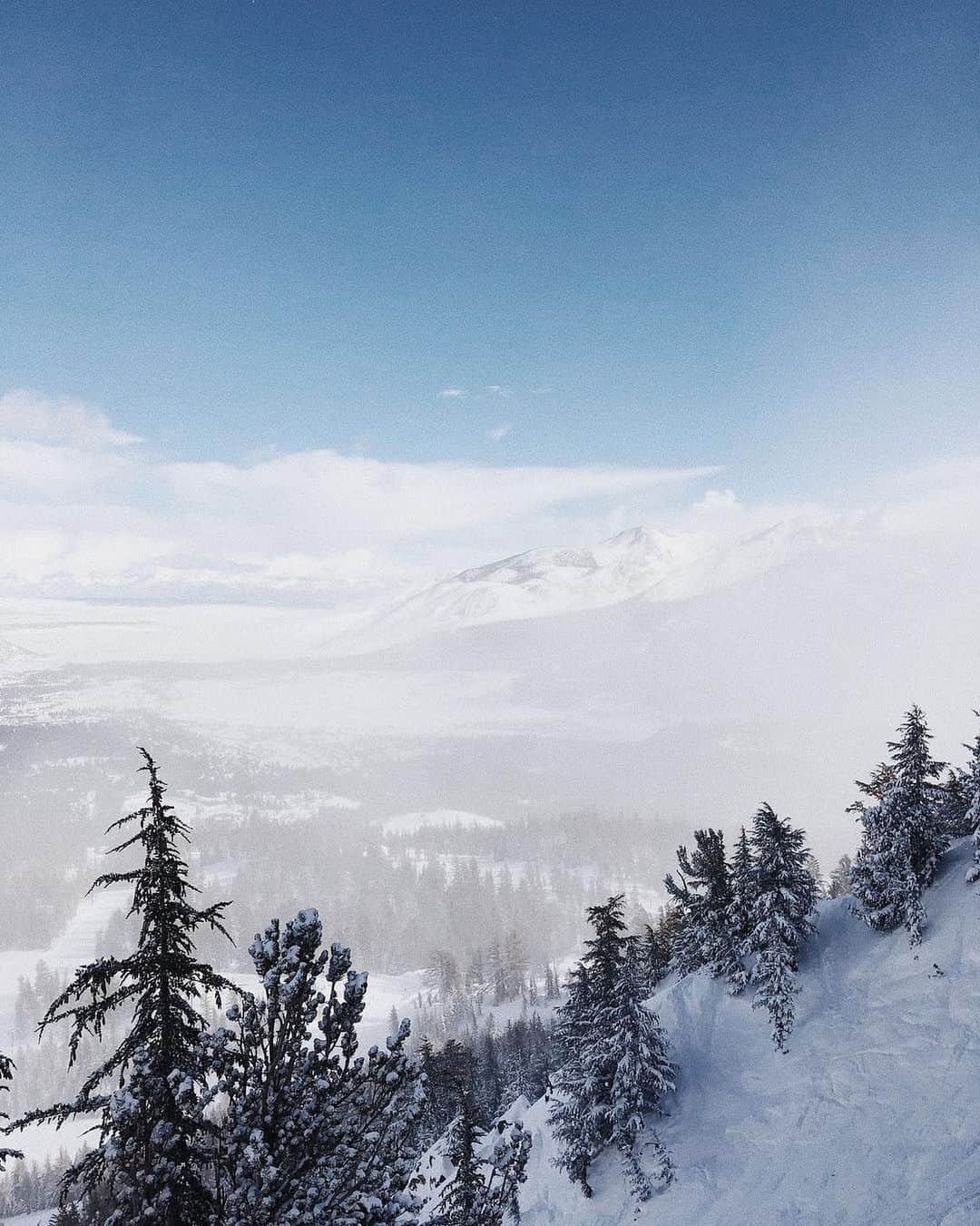 トムズシューズのインスタグラム：「Current status: out of office. // #regram: @clarafhopkins」
