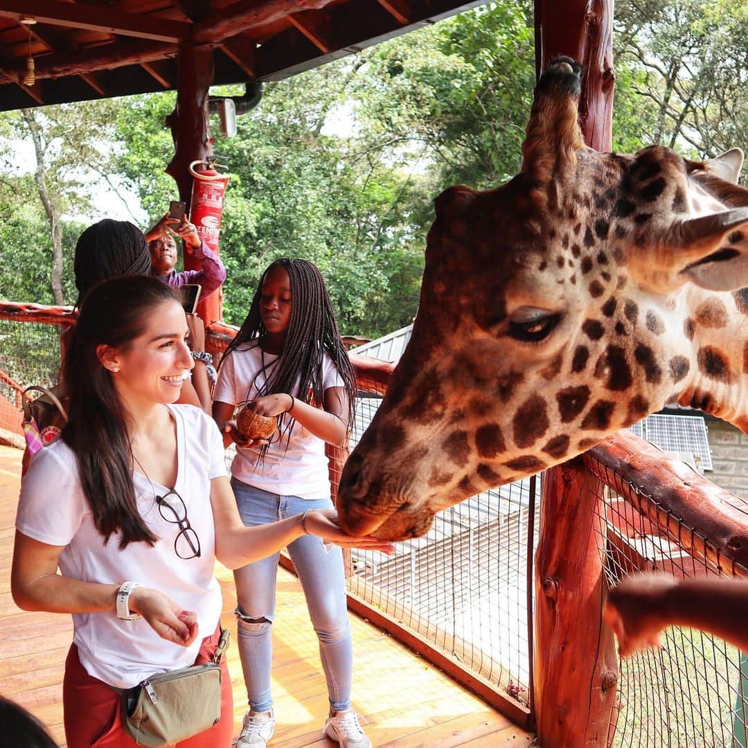 マリッサ・キャステリさんのインスタグラム写真 - (マリッサ・キャステリInstagram)「Today was amazing! We went to the David Sheldrick Elephant Orphanage and the Giraffe Center. Loved seeing these beautiful animals up close. . . . . . *#sheldrickelephantorphanage #giraffecentre #africa #nairobikenya #nopoaching #banivorytrade」12月31日 3時00分 - marissacastelli