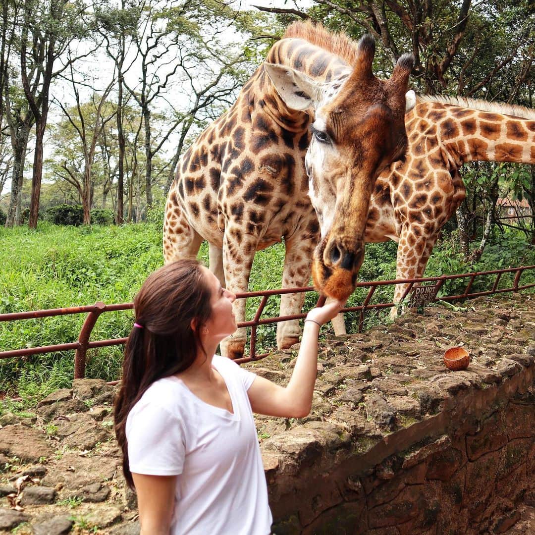 マリッサ・キャステリのインスタグラム：「Today was amazing! We went to the David Sheldrick Elephant Orphanage and the Giraffe Center. Loved seeing these beautiful animals up close. . . . . . *#sheldrickelephantorphanage #giraffecentre #africa #nairobikenya #nopoaching #banivorytrade」