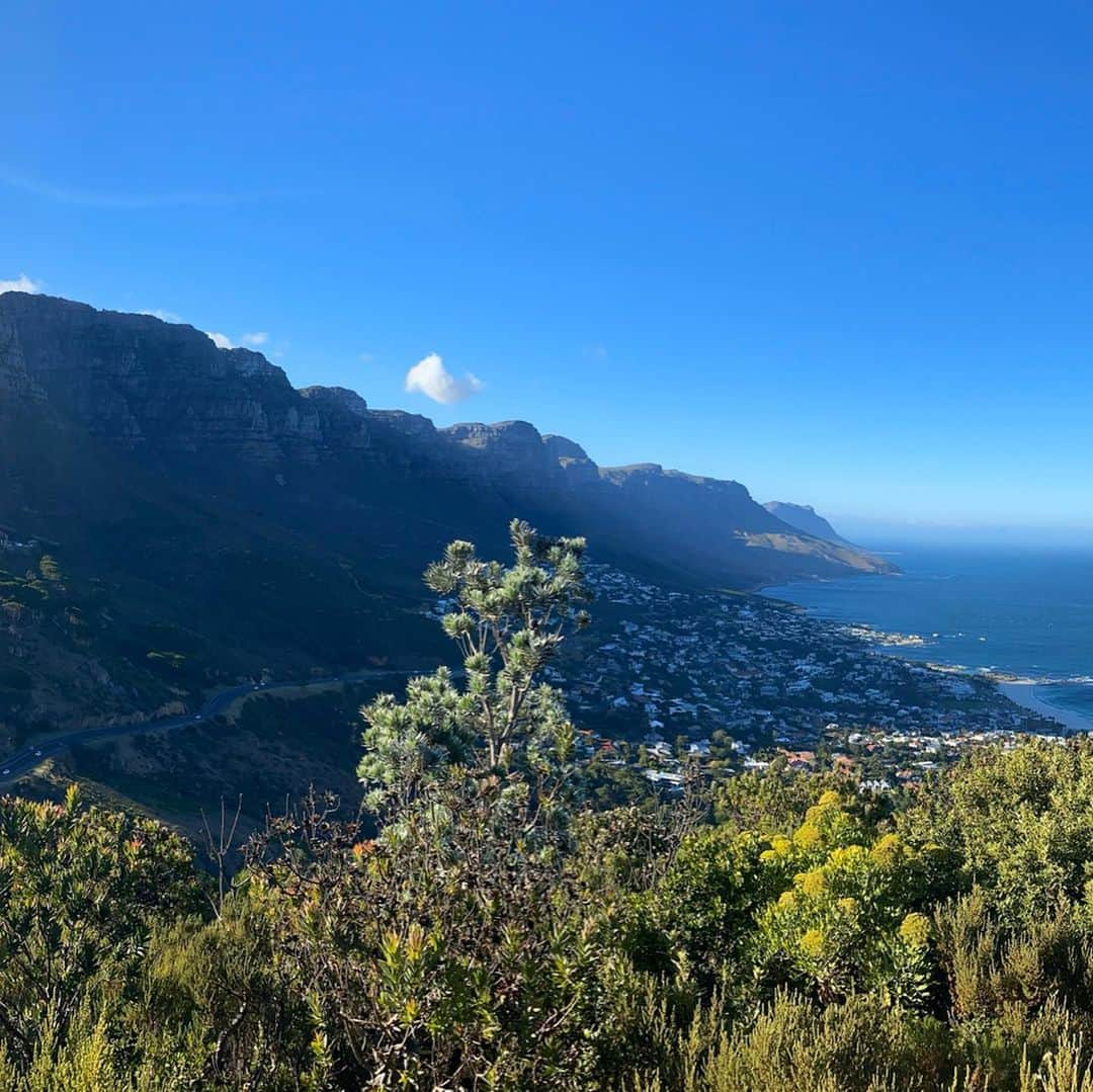 ニナ・デヴァエルさんのインスタグラム写真 - (ニナ・デヴァエルInstagram)「Life fails to be perfect, but it never fails to be beautiful🇿🇦✨ #southafrica #capetown #lionshead」12月31日 3時15分 - ninaderwael