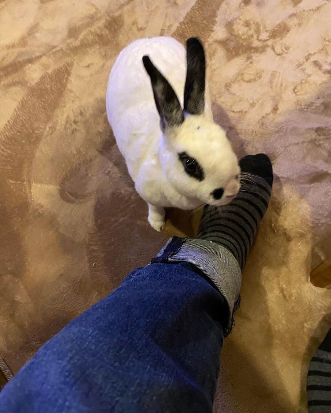 水木一郎のインスタグラム
