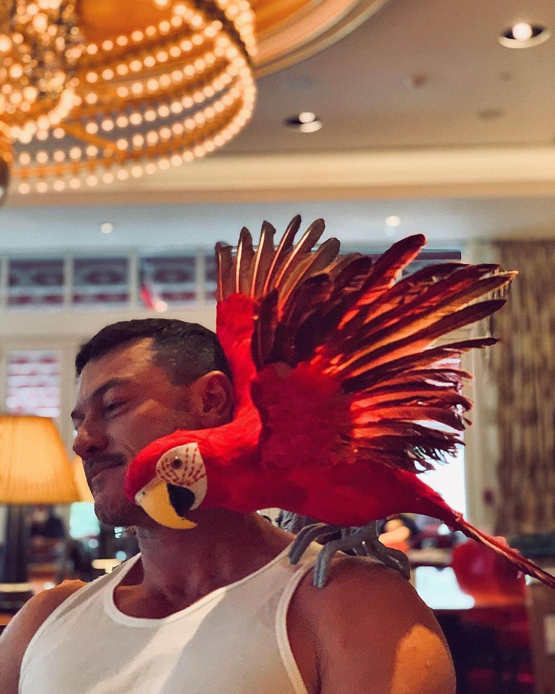 ルーク・エヴァンズさんのインスタグラム写真 - (ルーク・エヴァンズInstagram)「Who’s a pretty boy then?? Who’s a pretty boy then??? 🦜 🦜 🦜」12月31日 5時26分 - thereallukeevans