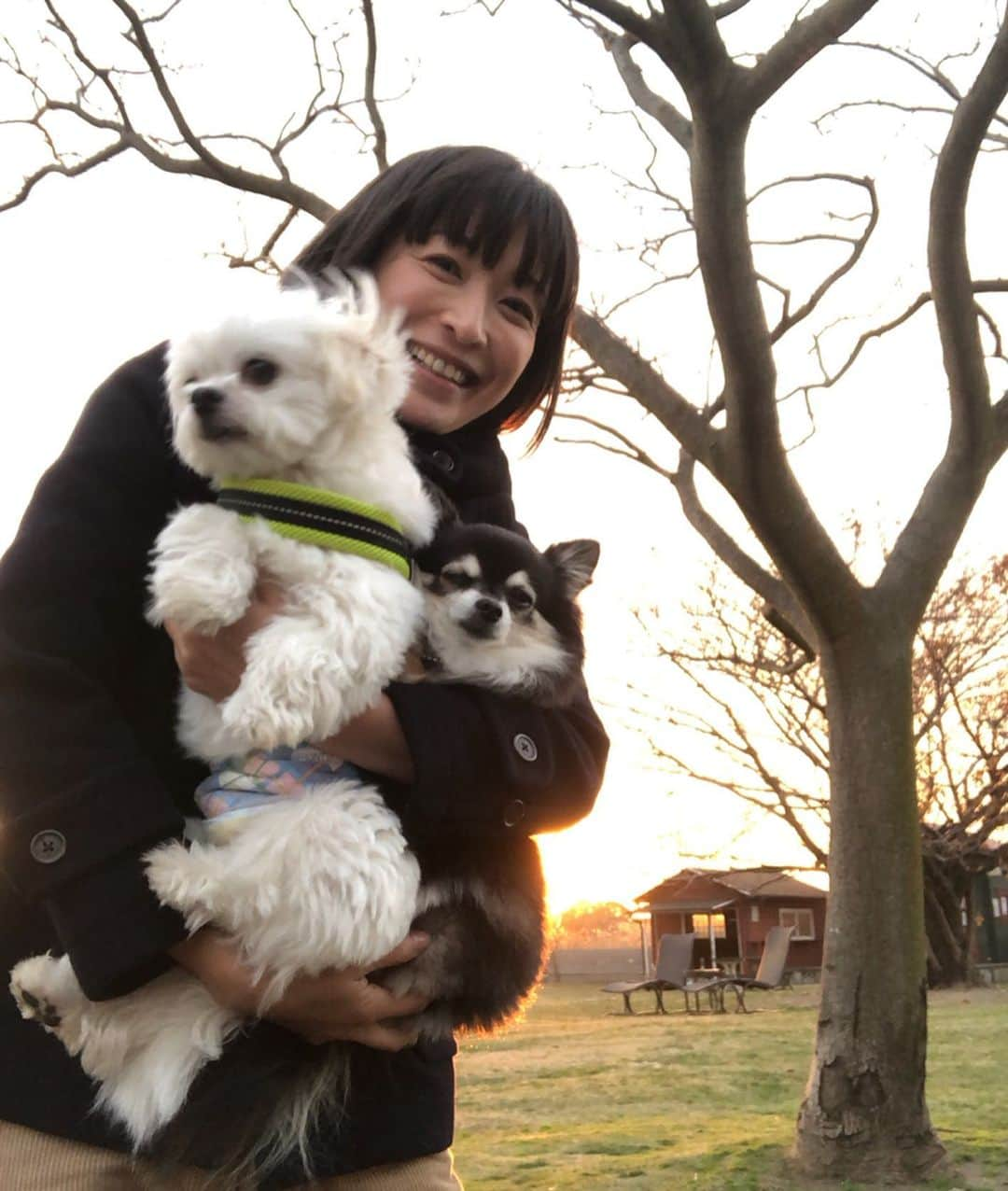 小野真弓さんのインスタグラム写真 - (小野真弓Instagram)「2019、令和元年大晦日🌅 今年も大変お世話になりました。 個人的に、今年は色んな事が一気に動く年でした🐗🐭2020年は三十代最後の年。去年作った三十代までにやる事リストがありまして📝引き続き前へ前へと動く年！と思っております🙋‍♀️🐶🐶^_^ 皆さまはどんな一年でしたか❓(o^^o) 大晦日、良い一日を！そして、、 良いお年をお迎えくださいね🌈 #2019大晦日#お世話になりました#ありがとうございました#また来年」12月31日 6時46分 - hanaharuaroi