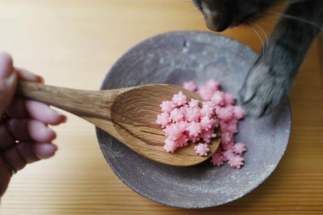 行方 久子 Hisako Namekataのグルメインスタ