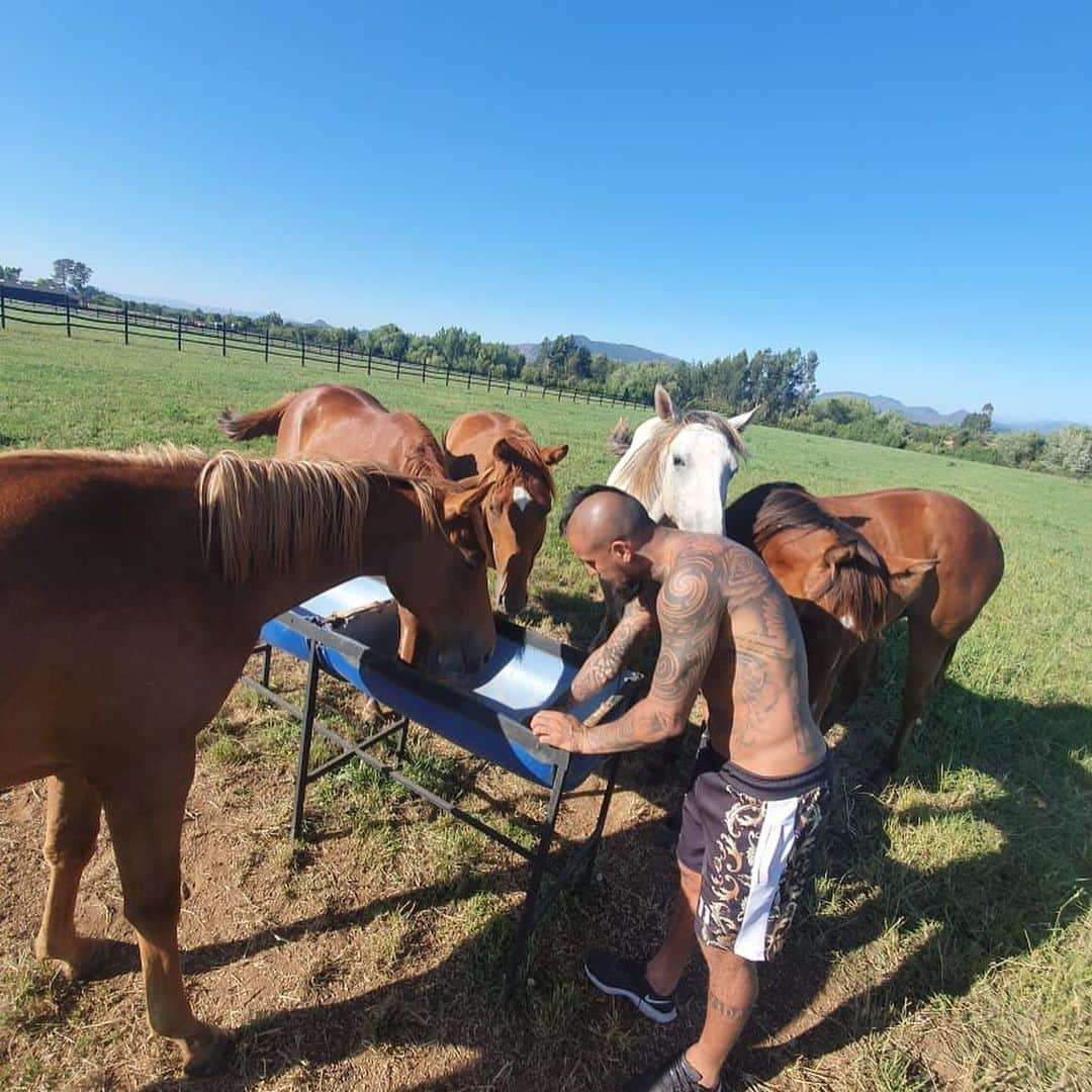 アルトゥーロ・ビダルさんのインスタグラム写真 - (アルトゥーロ・ビダルInstagram)「De mis caballos aprendí... que la fuerza se complementa con la nobleza y la lealtad. ❤️🐎❤️🐎」12月31日 7時48分 - kingarturo23oficial