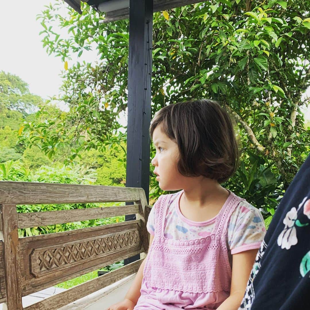 のインスタグラム：「年の瀬感ゼロでお送りしてます。😂 2019年は、ライブ活動もたくさん、リリースもありました。 まだまだ子育てとの両立にちぐはぐしながらもなんとか今日ここまで。 皆さんのサポートのおかげです❤️ ありがとうございました❤️ でも子はぐんぐん育ちます🧒 2020年も少しずつわたしの手を離れながらも、彼女の成長を見守りながら、私も自分の成長や挑戦のチャンスを逃さず、一日一日大切に過ごしたいと思います。  #thankyou #2019」