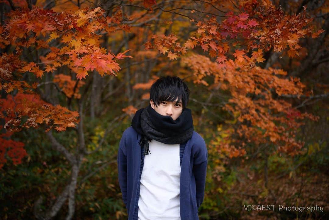 mikaestのインスタグラム：「Autumn leaves model : @yuumw64 . 大晦日に紅葉の写真で申し訳ないですが…😂 2019年の〆は紅葉王子で。 今年はInstagramもTwitterもチラ見はしていてもw いいねもコメントもなかなかしに行けなくて申し訳なかったです😭😭😭 来年はもうちょっと撮影に行ってポストもできるといいなぁと思っているので皆さま来年もどうぞよろしくお願いします🙆‍♀️ 良いお年をお迎えください！ . . カメラ：NIKON Z7  レンズ：NIKKOR Z 35mm f/1.8 S  このレンズ、なかなか好きなのです😊 .」