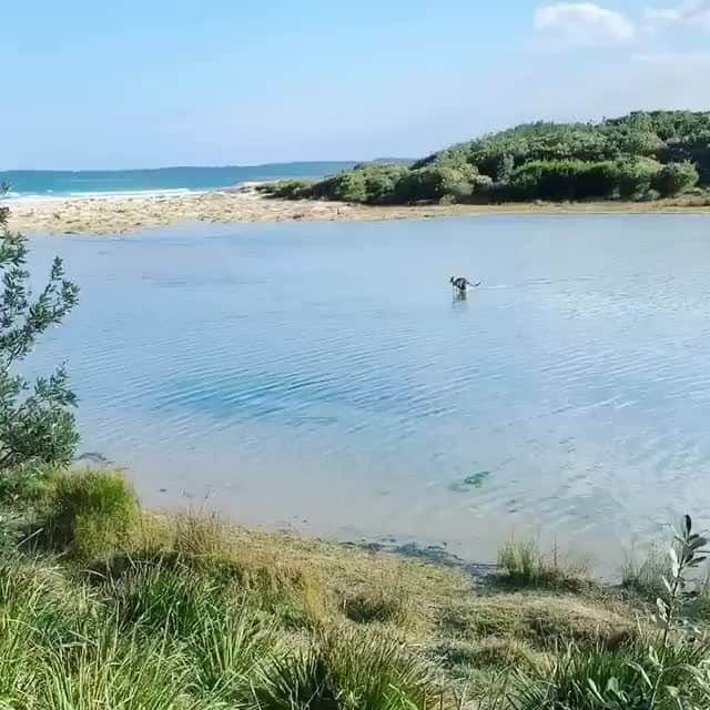 Australiaのインスタグラム