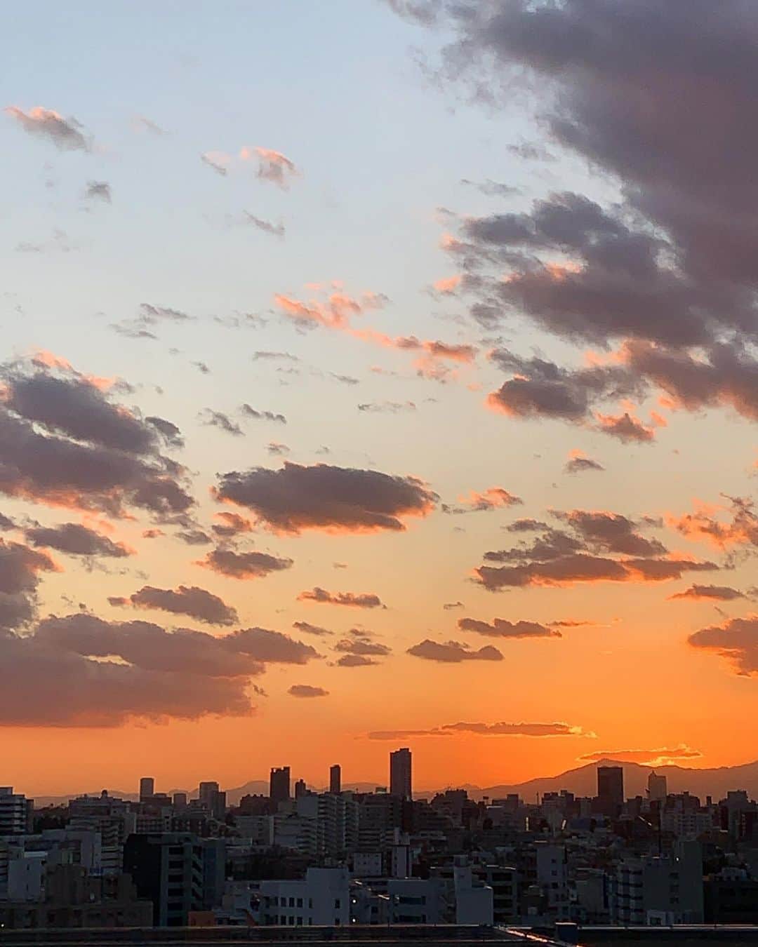 YOSHIROTTENのインスタグラム：「👋2019🧡  Happy holidays！ みなさまよいお年を」