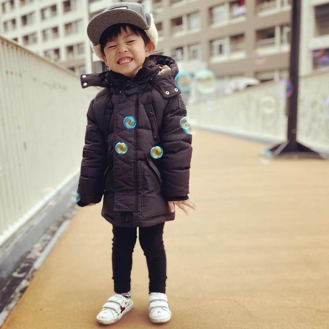 池田麻理子のインスタグラム：「🎍ご報告🎍  2019年 支えてくれた人たち ありがとう😊  2020年は！  シングルマザーとして心機一転 がんばります🤪  #もちろん猫6匹もいっしょ #家族がほぼ猫 #シングルマザー #想像してた以上に大変なことだらけ #子供がいて本当に良かったな」