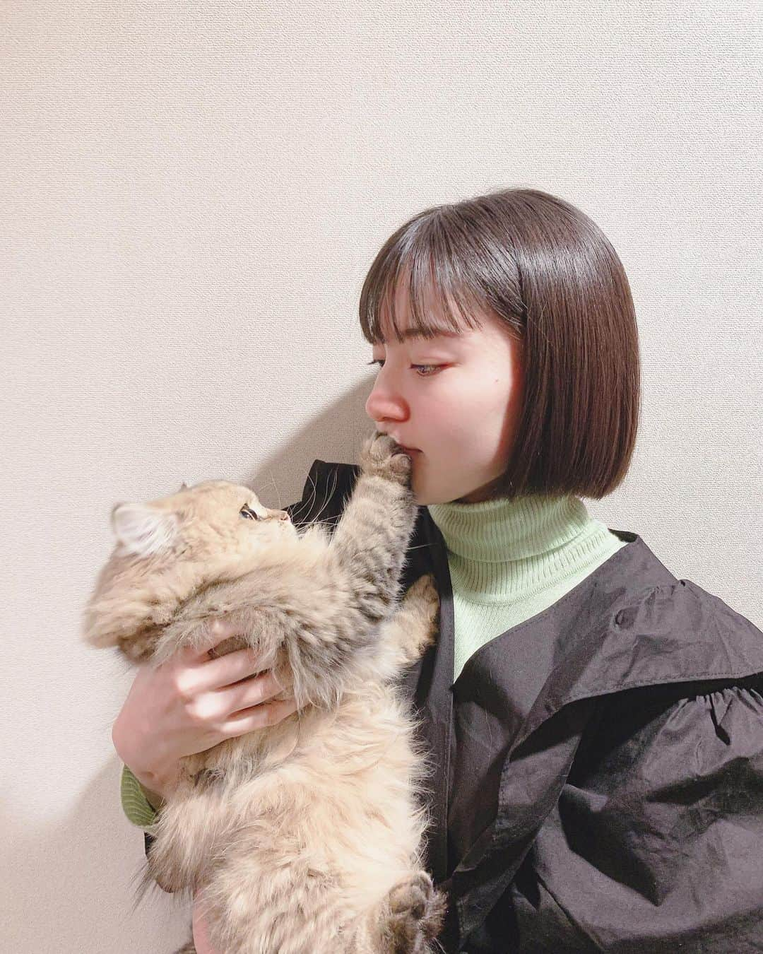 金井美樹 さんのインスタグラム写真 - (金井美樹 Instagram)「今年もありがとうございました☺︎﻿ 程よく肩の力を抜けた気がします。﻿ 悩んで考えることも多々ありましたが、来年の課題ができた！と言うことで、今日は目一杯、家族との時間を過ごしたいと思います🐈﻿ ﻿ 良いお年をお迎えください👍﻿ ﻿ #2019」12月31日 19時35分 - kanaimikitea