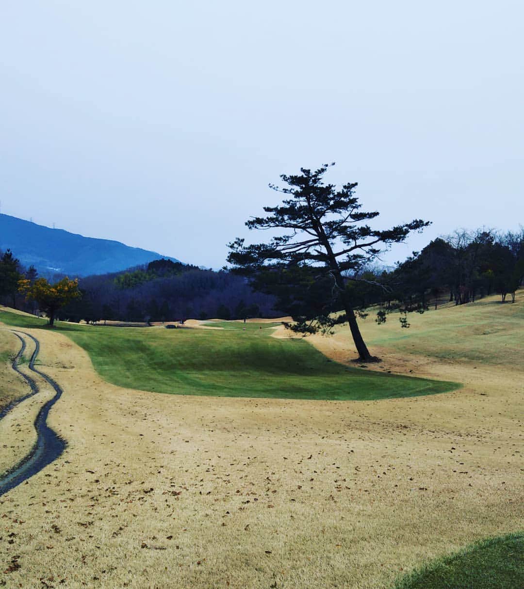 東ブクロのインスタグラム：「2019年127ラウンド目  年末調整。  #唐沢ゴルフクラブ唐沢コース #ゴルフ芸人 #ゴルフ男子」