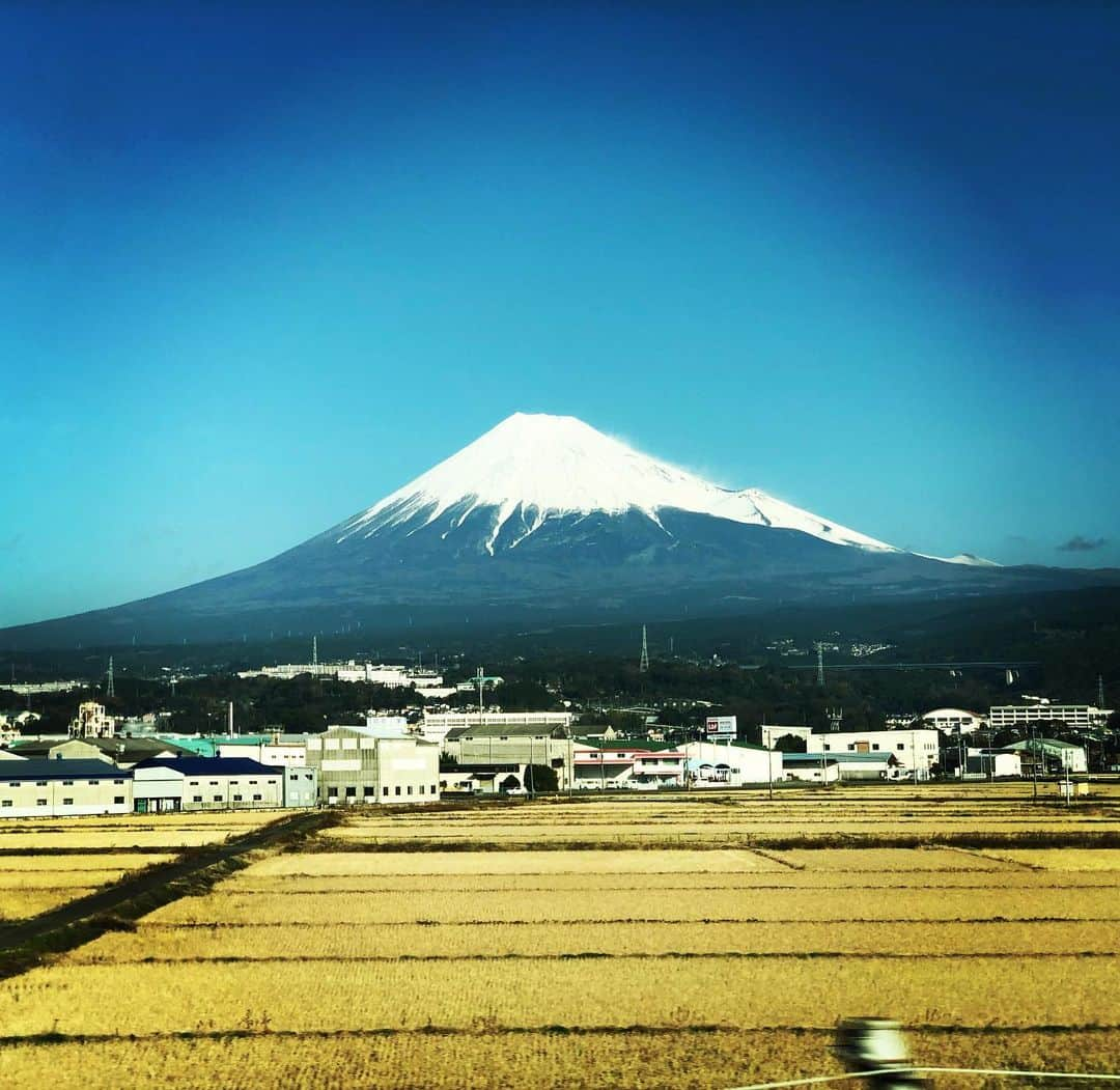 福田ゆみさんのインスタグラム写真 - (福田ゆみInstagram)「束の間の正月休み。 さー奈良に帰るぞ。 皆様、今年も一年ありがとうございました。 良いお年をお迎えください。 　#正月  #帰省  #奈良  #福田ゆみ  #福田ユミ」12月31日 10時42分 - yumifukuda0511