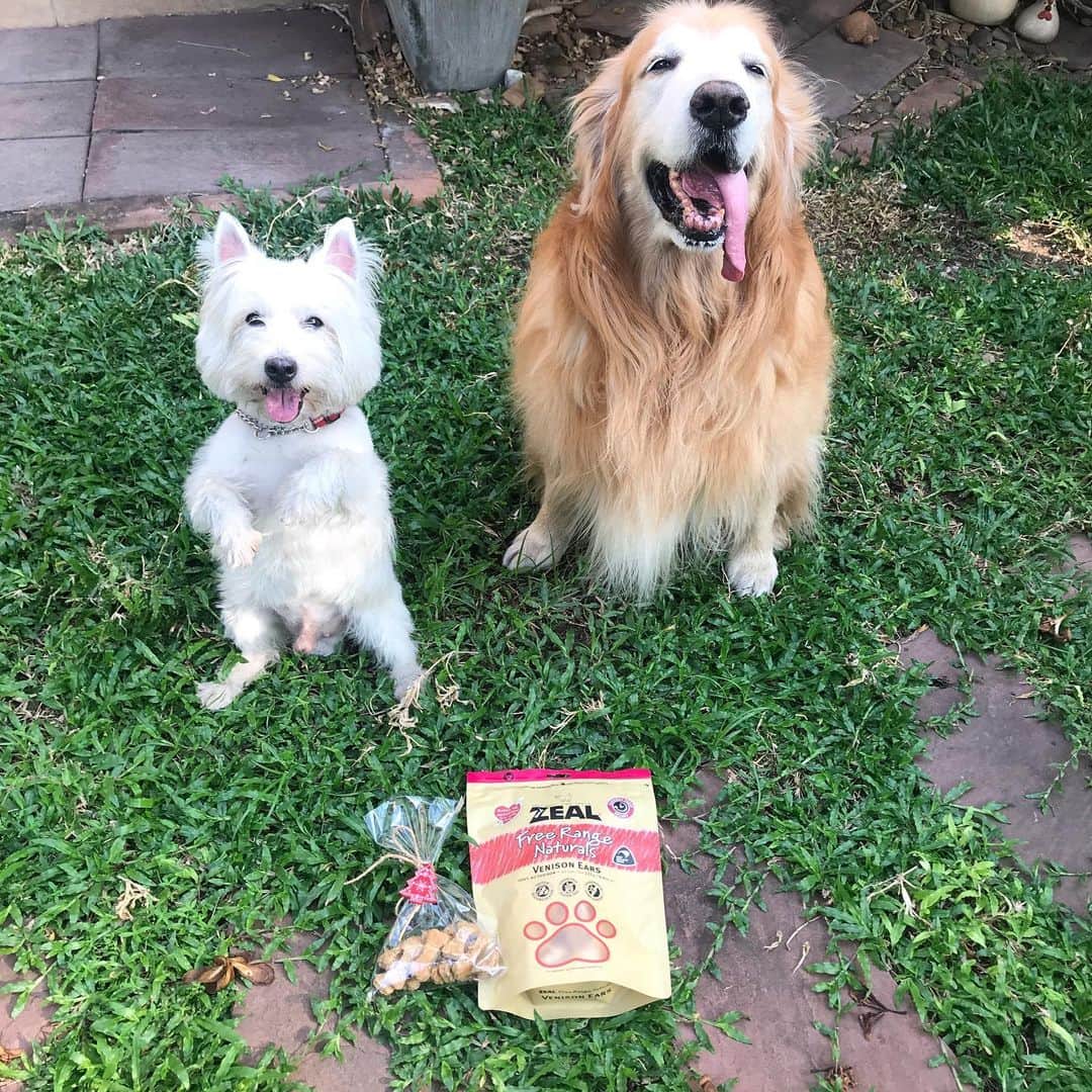 Hoykong&Plamuekのインスタグラム：「Thank you ❤️ @livelikeayoungdog @binbobucbun ❤️」