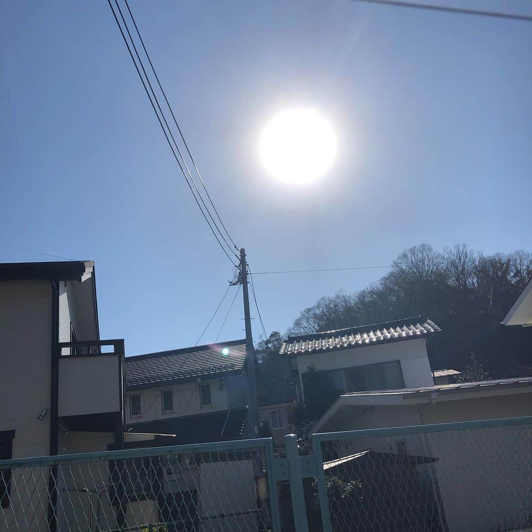 濱田マサルさんのインスタグラム写真 - (濱田マサルInstagram)「本当、、お正月なの？  #関東 #暑い」12月31日 11時40分 - hamadamasaru