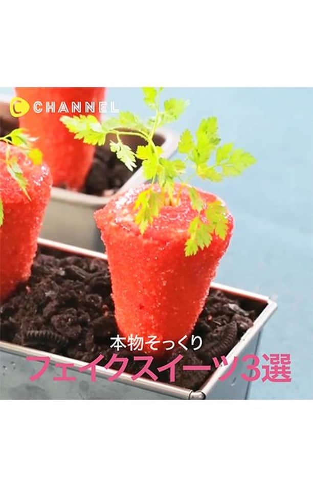 C CHANNELのインスタグラム