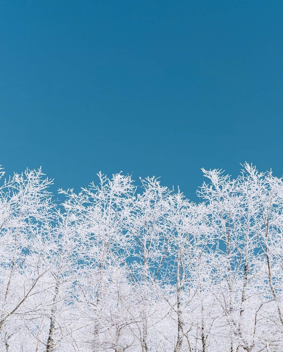 市川渚さんのインスタグラム写真 - (市川渚Instagram)「Winter mountain scenery🏔﻿☃️ ﻿ ﻿ ﻿ ﻿ ハンタマのゴンドラで明神岳の山頂まで。ハンタマのゴンドラ、実は冬も（スキーやスノボ履いてなくても）往復1500円で乗れるということを知った💡流石に展望台は閉鎖されていたけれど、山々に沈む夕陽を眺められる。お天気良くて最高でした。﻿ ﻿ ﻿ ﻿ #sigmafp#sigmaglobalvision#sigma#sigma45mm#sigma45mmf28contemporary #sigma1424mmart#﻿wintermountain#sunset #naturephotography #woods #beautifuldestinations #travelphotography #winteriscoming #mountains #snowphotography #wintermountain #snowing #雪景色 #nagikotrip #huntermountain #ハンタマ #那須塩原 #栃木 #discovertochigi」12月31日 12時03分 - nagiko