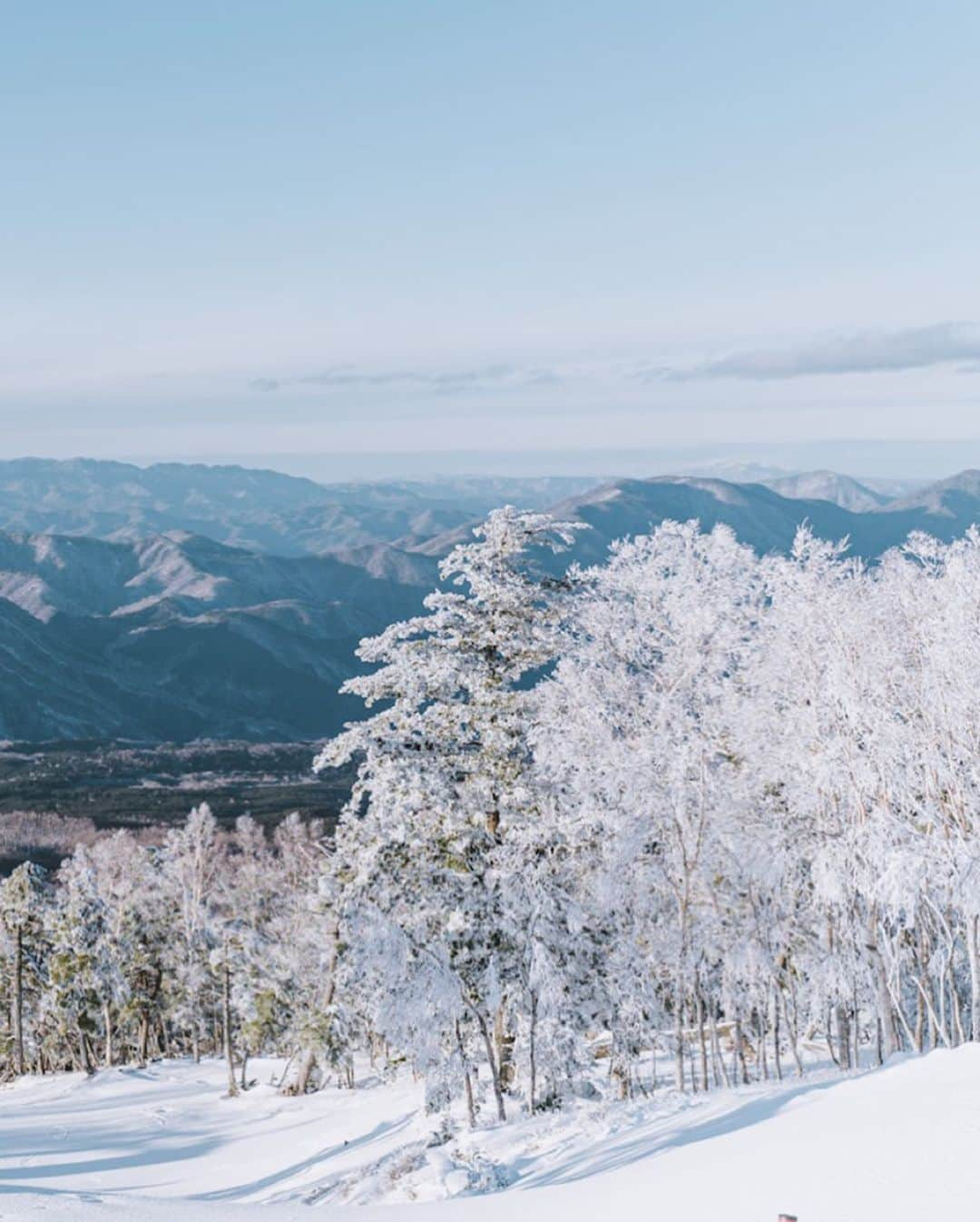 市川渚さんのインスタグラム写真 - (市川渚Instagram)「Winter mountain scenery🏔﻿☃️ ﻿ ﻿ ﻿ ﻿ ハンタマのゴンドラで明神岳の山頂まで。ハンタマのゴンドラ、実は冬も（スキーやスノボ履いてなくても）往復1500円で乗れるということを知った💡流石に展望台は閉鎖されていたけれど、山々に沈む夕陽を眺められる。お天気良くて最高でした。﻿ ﻿ ﻿ ﻿ #sigmafp#sigmaglobalvision#sigma#sigma45mm#sigma45mmf28contemporary #sigma1424mmart#﻿wintermountain#sunset #naturephotography #woods #beautifuldestinations #travelphotography #winteriscoming #mountains #snowphotography #wintermountain #snowing #雪景色 #nagikotrip #huntermountain #ハンタマ #那須塩原 #栃木 #discovertochigi」12月31日 12時03分 - nagiko