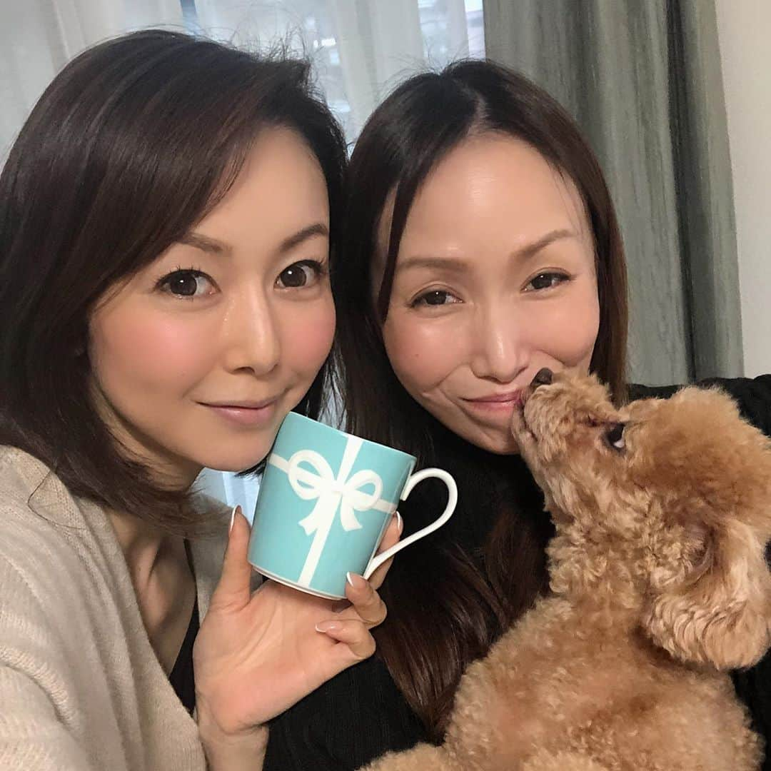 宮崎宣子さんのインスタグラム写真 - (宮崎宣子Instagram)「真理ちゃん、宮崎の実家に遊びに来てくれました🥰  退院おめでとう❣️ そして、おかえりー✨✨✨ 1番に出迎えたのはアロハ🐶 本当に真理ちゃん大好きで、 べったりんこ🐶🐶🐶 真理ちゃんが、お見舞いの御礼にEMARA カラーに似てるティファニーのマグカップをプレゼント🎁してくれました❣️ 勝手に、 ティファニーブルー✨ に対して、 EMARA グリーン✨✨ と名付けている定番カラー  これから、ティファニーもEMARA だと思って、これをきっかけに集めようと思いました🥰❤️❤️ 真理ちゃんといると、時間の流れが早過ぎる…  色々と助けてもらったり、 恩返ししなきゃいけないのは私の方なのに…💦 来年もたくさん、プライベートもお仕事もご一緒できますように💕  ママがパン焼いてくれました🙏  #miyazakifriends  #真理ちゃんおかえり  #宮崎出身 #宮崎仲間 #仕事も優秀 #尊敬と信頼できる仲間  #身体には気をつけてね #犬好き #アロハは真理ちゃんがお好き #宮崎市大使の真理ちゃん #宮崎に貢献しまくり #私も見習います #また東京で会おうね」12月31日 12時13分 - miyazaki_nobuko