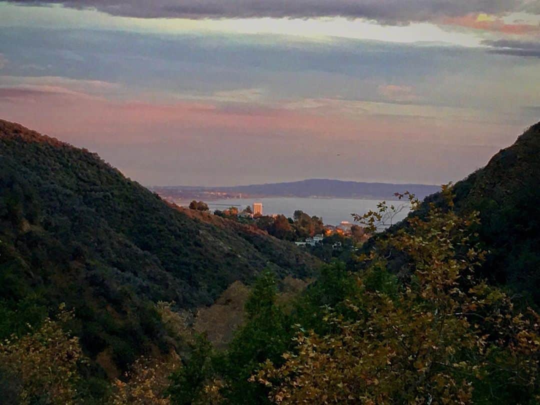 チャド・ロウさんのインスタグラム写真 - (チャド・ロウInstagram)「Santa Monica from the mountains. #Hiking #ILoveLA」12月31日 12時27分 - ichadlowe