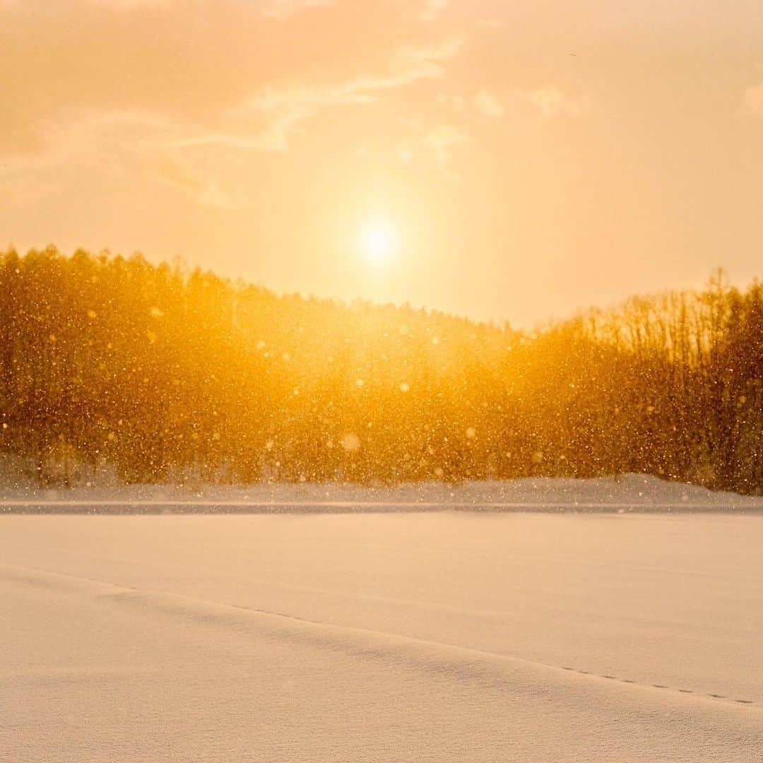 濱田英明さんのインスタグラム写真 - (濱田英明Instagram)「fragments #pentax67」12月31日 12時56分 - hamadahideaki