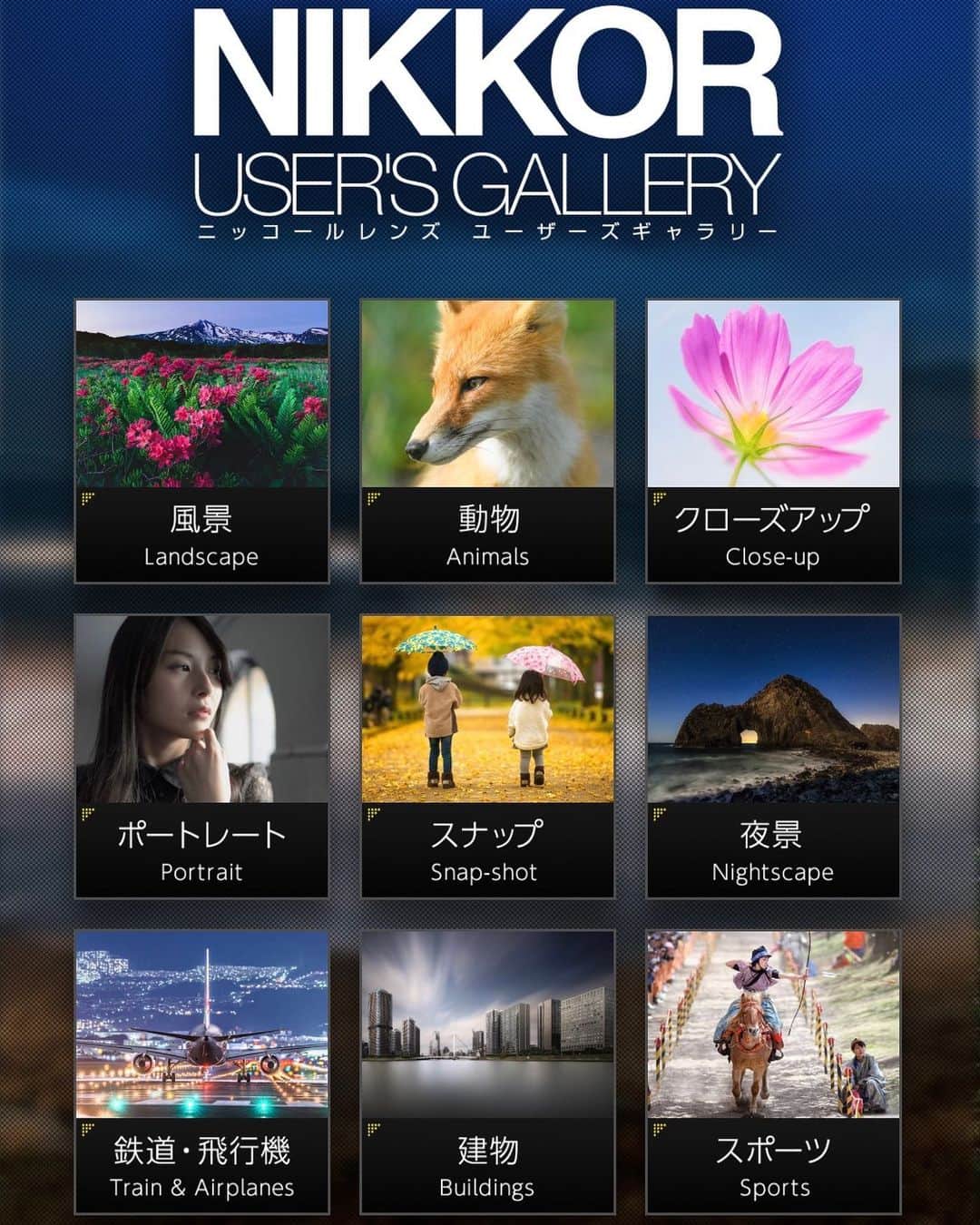 mikaestのインスタグラム：「大晦日になっちゃったw まだ〆ないですが… とりあえず、ミカエスト氏、生きています😂 . . 遅ればせながらご報告。 「ニッコールレンズユーザーズギャラリー」に、わたしの作品がいくつか掲載されていますのでお時間ある時に是非ご覧くださいませ😊 プロフとストーリーにリンク貼っておきます！ https://nikkor.tokyocameraclub.com/nikkor_users_gallery/ .」