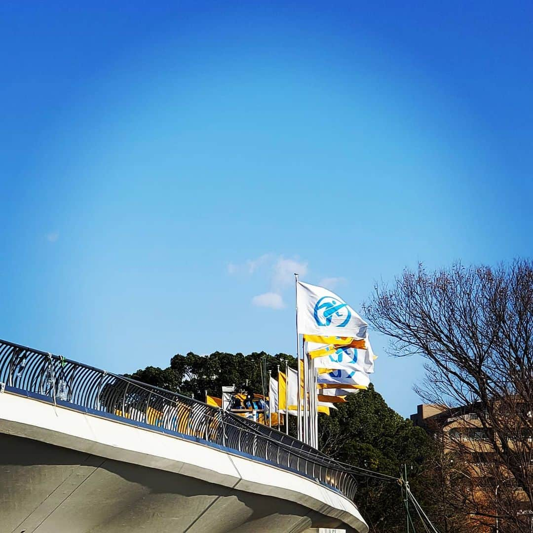 ANI さんのインスタグラム写真 - (ANI Instagram)「#駒沢公園」12月31日 13時59分 - sdp_ani