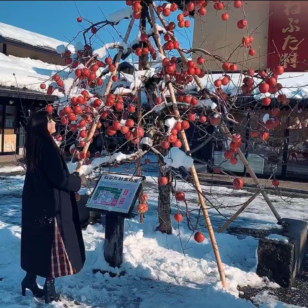 津島衣里さんのインスタグラム写真 - (津島衣里Instagram)「つしえりとりんごの木🍎 #りんごの木」12月31日 14時24分 - eritsushima_official