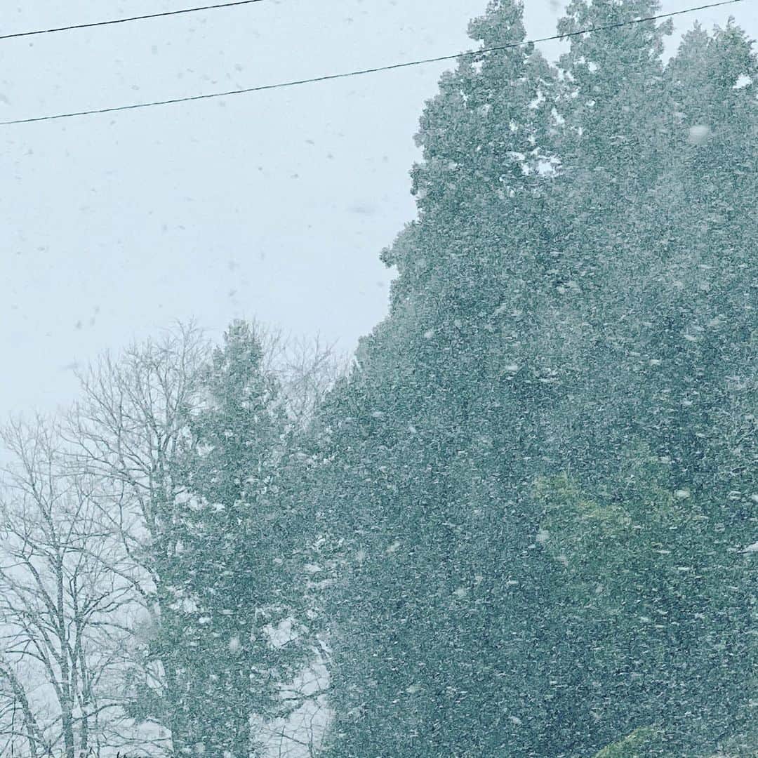 当真ゆきのインスタグラム：「雪～  #初雪 #寒い #つもるかな⛄」
