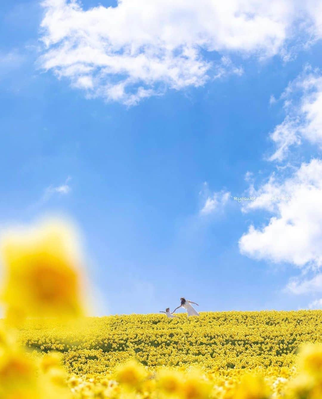 はなまっぷ❁日本の花風景さんのインスタグラム写真 - (はなまっぷ❁日本の花風景Instagram)「🌸🍺はなまっぷの忘年会2019🍺🌸 * @ryostory1124 さんの  2019年のお花に花まるを💮 * 今年一年素敵なお花をたくさん ありがとうございました😊🌸💮 * 1滋賀　守山第一なぎさ公園 2大阪　鶴見緑地公園 3滋賀　びわ湖バレイ 4三重　いなべ市 5愛知　愛知牧場 * 🌼•••🌹•••💠•••🌷•••🌸•••🌺 * 💮みなさんの2019年のお花に花まるを💮 * 今年撮影されたお気に入りのベスト5 （5枚以内なら何枚でもok） を複数枚一括投稿で、 #はなまっぷ忘年会2019 に投稿お願いします😊 * みなさんのご参加お待ちしております🍺 * #はなまっぷ * 🌼•••🌹•••💠•••🌷•••🌸•••🌺 * #日本#花#花畑#花のある風景」12月31日 14時37分 - hanamap