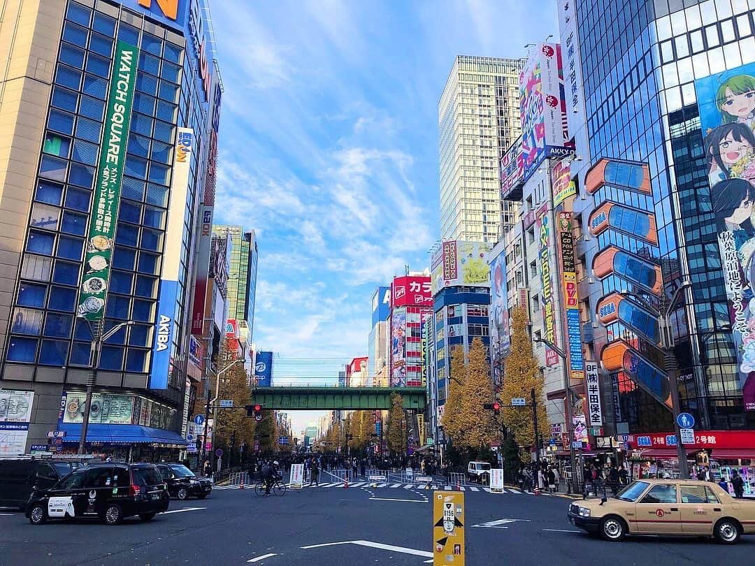 相沢梨紗さんのインスタグラム写真 - (相沢梨紗Instagram)「秋の葉の原っぱで🌈 . . . #akihabara #tokyo #japan」12月31日 15時40分 - risacheeese