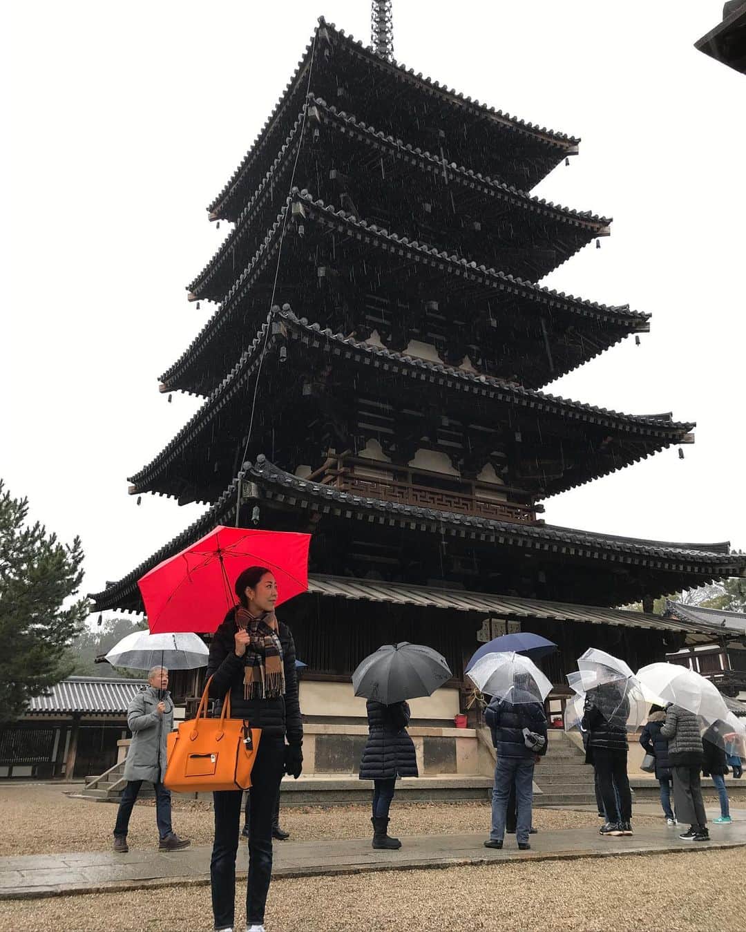 榊ゆりこさんのインスタグラム写真 - (榊ゆりこInstagram)「奈良へ行ってきました🚅🤩 小雨だったり寒かったりしましたが、法隆寺をはじめ行きたいお寺や神社に行けました⛩卍😊子供達はだんだんと寺巡りは疲れてきたようですが、鹿には大興奮😆鹿使いになってました😅 今年もあと僅か、一年ってあっという間に過ぎてしまいますね。また来年もよろしくお願いします😊🙏✨良いお年を💕💕💕 #奈良#神社仏閣#家族旅行」12月31日 15時43分 - yuricosakaki