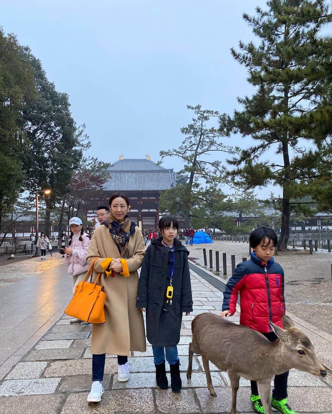 榊ゆりこさんのインスタグラム写真 - (榊ゆりこInstagram)「奈良へ行ってきました🚅🤩 小雨だったり寒かったりしましたが、法隆寺をはじめ行きたいお寺や神社に行けました⛩卍😊子供達はだんだんと寺巡りは疲れてきたようですが、鹿には大興奮😆鹿使いになってました😅 今年もあと僅か、一年ってあっという間に過ぎてしまいますね。また来年もよろしくお願いします😊🙏✨良いお年を💕💕💕 #奈良#神社仏閣#家族旅行」12月31日 15時43分 - yuricosakaki