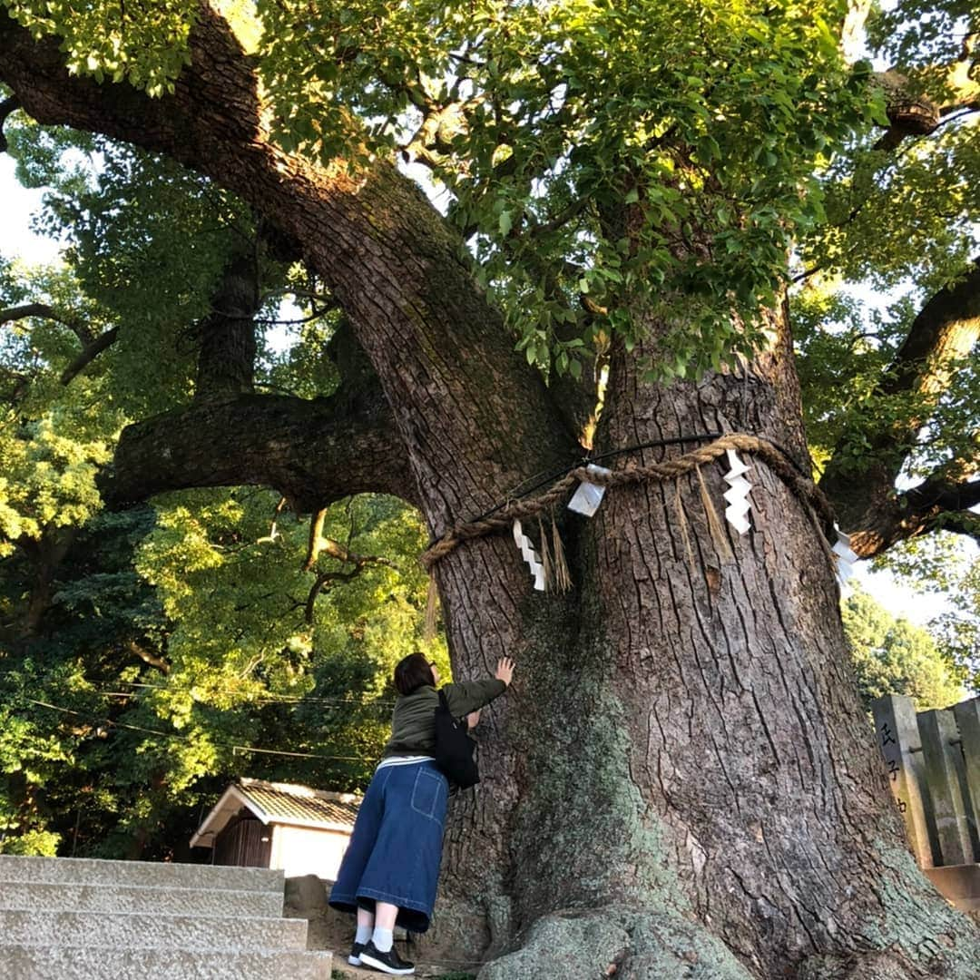 五十嵐サキさんのインスタグラム写真 - (五十嵐サキInstagram)「2019年大晦日😄🌈 2019年は、吉本新喜劇の舞台の他 全国放送の番組にも呼んで頂いたり、 まさか お仕事でご一緒させて頂けるなんてという素敵な方々とも共演させて頂き 私にとっては奇跡的な一年でした😂🍀 それもこれも、応援して下さっている皆様のお陰様でした😭  本当に有り難うございました🙇‍♀️‼️ 年明け、2020年１月には 今年収録していたテレビ放送が重なる予定ですので 舞台共々 テレビを通して皆様に楽しんで頂けましたら幸いです🌈  そして、来年仕事始めは４日と５日の奈良健康ランドです😃  また来年も 皆様とお会い出来る日を楽しみにしております❗️ 今年一年も沢山応援して頂きまして本当に有り難うございました‼️ 皆様、良いお年をお迎え下さいませ✨  吉本新喜劇  五十嵐サキ」12月31日 16時09分 - saki_igarashi