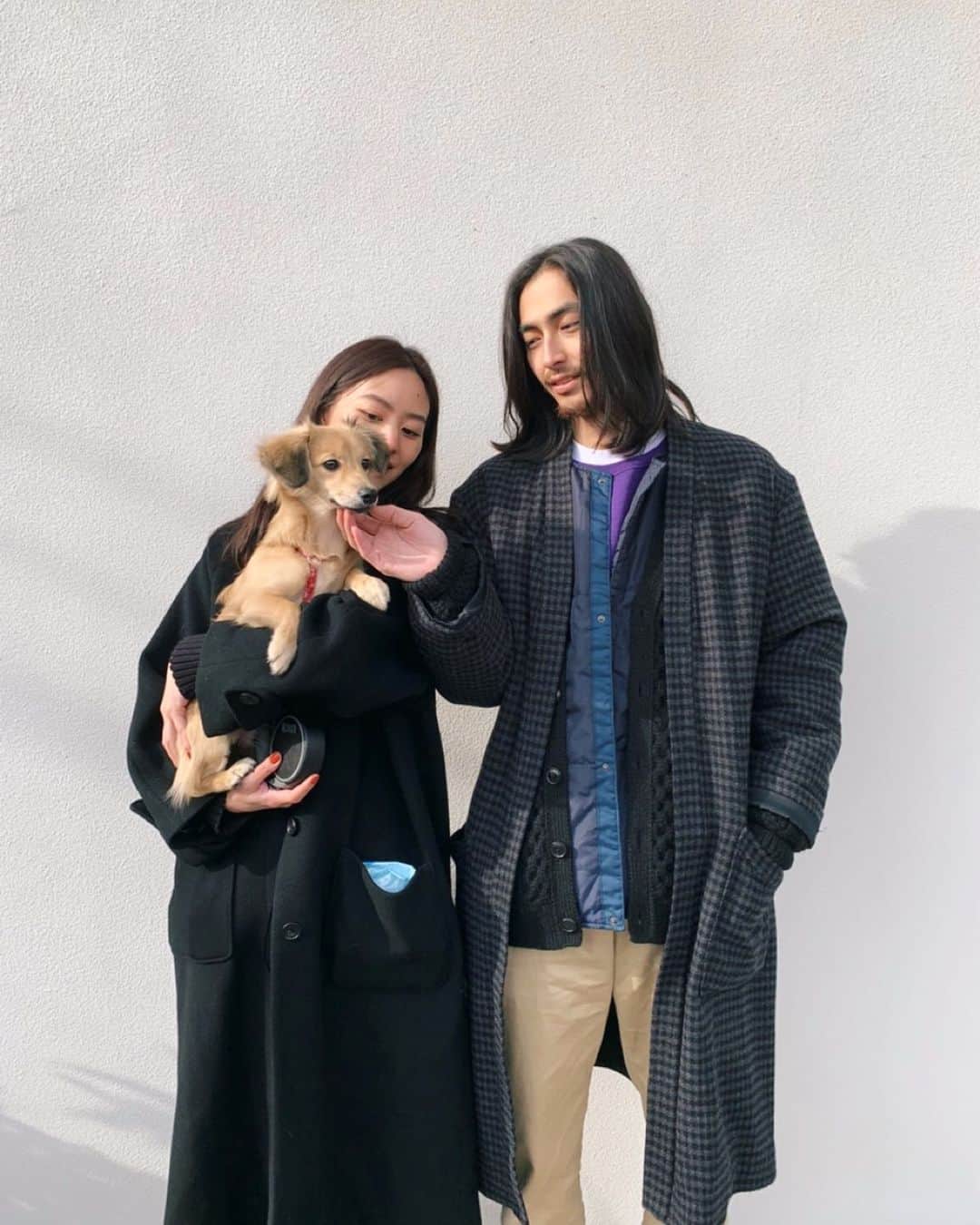 Shiho Sasakiのインスタグラム：「2019年も残り僅かですね🙏 私にとって今年最大のニュースは家族が増えた事✨ この度、入籍しました💍 これから旦那さんとジャスミンと家族3人、私たちらしい家庭を築いていきたいと思います。 2020年もどうぞよろしくお願いします🎍 皆さん、良いお年を👋 #20191231#家族写真」