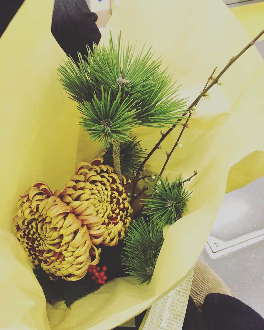 のインスタグラム：「今年は喪中なので御飾りはしないのだけど、新年らしいお花だけ飾りたいなと、まこっちゃんの @shirokuma_seikaten にて、赤黄の菊と分かれ松、白梅を選びました。  人のまばらな、暮れの東京が好きです。  #猫沢銘店」