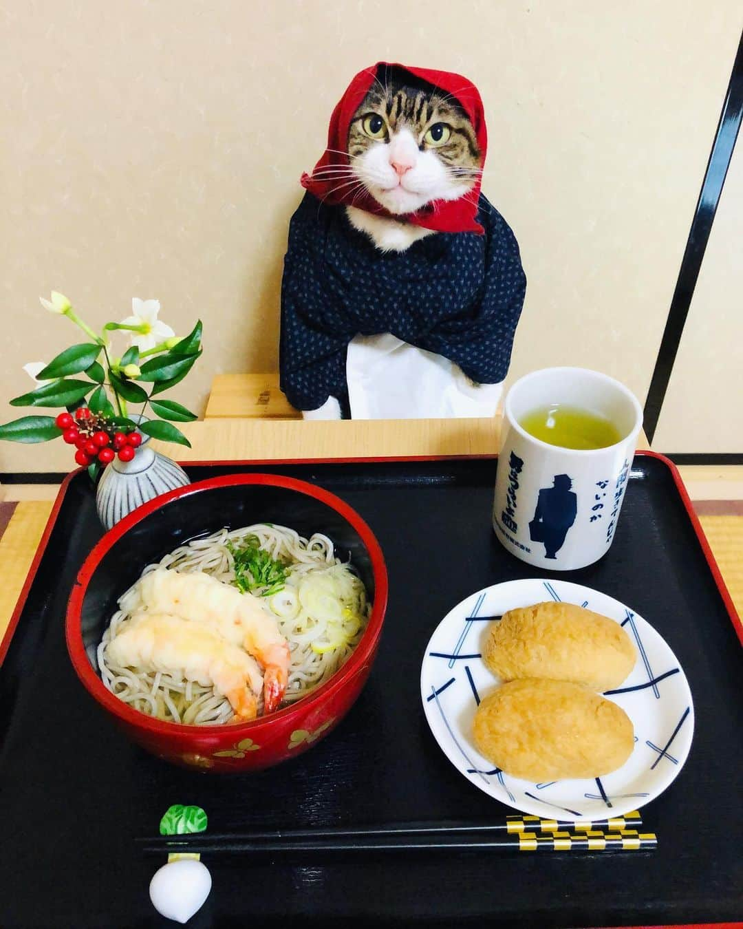 マロさんのインスタグラム写真 - (マロInstagram)「🥢年越しそば🥢　SWIPE▶️ Japanese people eat soba noodles, brownish buckweat noodles, on New Year's Eve. We eat them hoping for longevity because soba noodles are long. ☆ 今年も1年ありがとうございました😸🙏💕 来年も楽しい投稿をしていきますのでよろしくお願いします🙇‍♀️ 良いお年をお迎えください💖 ☆  Thank you very much for your help in the past year😸🙏💕 Have a great new year❣️ ☆ #cat#cats#catsofinstagram#😻 #japaneseculture#japanesefood  #soba#newyearseve#2020 #ねこ#猫#ねこ部#ふわもこ部 #大晦日#年越しそば#寅さん #男はつらいよ#よいお年を」12月31日 17時32分 - rinne172