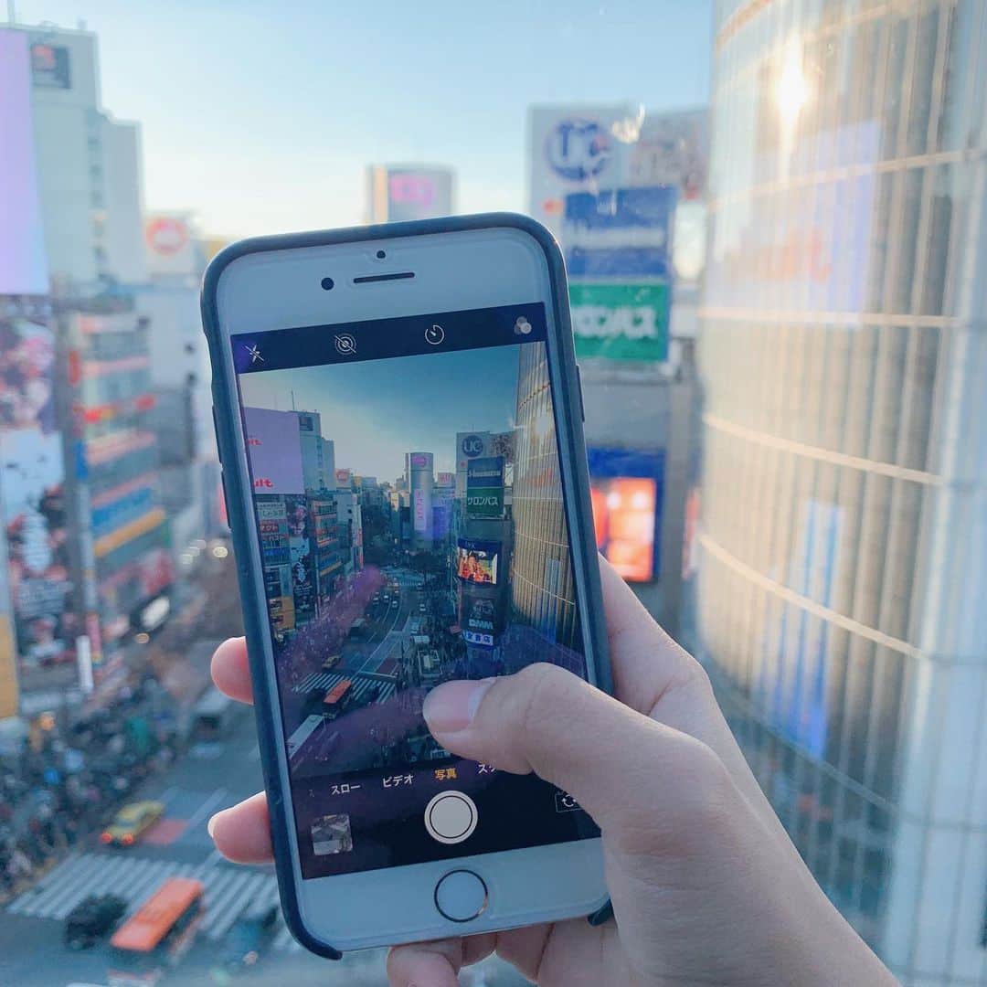 Mameのインスタグラム：「簿記3級すらなかった私が税理士試験官報合格するまでの時間 →→→ 7年😅 クリスマスもお正月も関係なく、毎日毎日勉強で辛くて苦しい7年でした。 でも、人生100年時代なら7年くらいどうってことないと今なら思えます。 諦めなければ夢は叶います✨  今年もmame instagramをご覧いただきありがとうございました😊 2020年、笑顔あふれる一年になりますように✨」