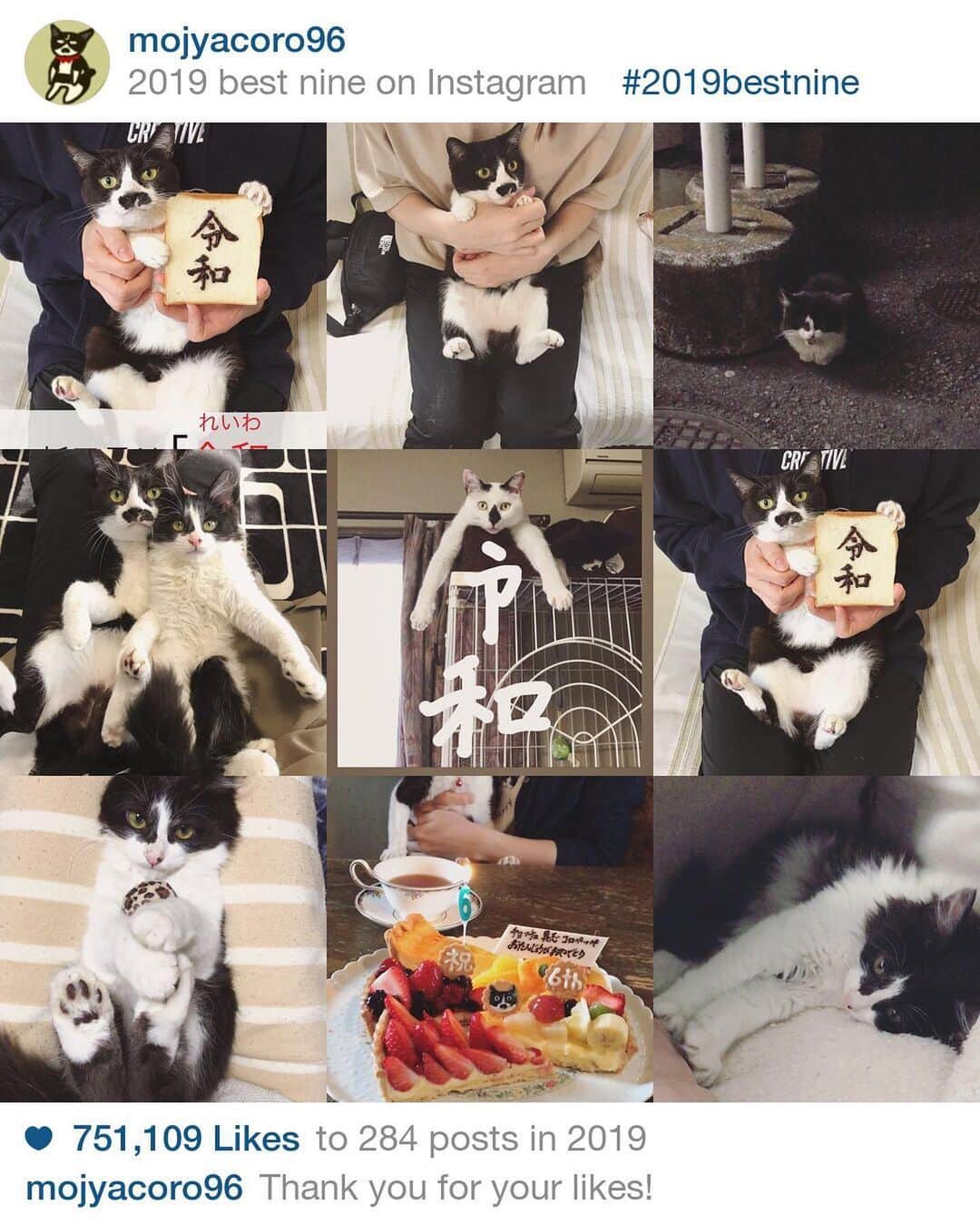 のインスタグラム：「今年一番の出来事といえば、坂東玉隠しシャシャ丸がうちに来たことでしょうか！ 今年も何万枚写真を撮ったことやら😂😂😂 カメラロール85000枚😂探したい写真を探すにも一苦労！！パンパンです！  私の今年一番のお気に入り写真は2枚目のチョッチュ具志コロペッペです♡  いつもたくさんのコメントほんとに嬉しいです！！ありがとうございます🥰 来年も引き続き坂東玉隠しシャシャ丸が無事中型犬へと成長する様子とチョッチュ具志コロペッペとその仲間たちを暖かく見守っていただけると嬉しいです☺️ #2019bestnine」