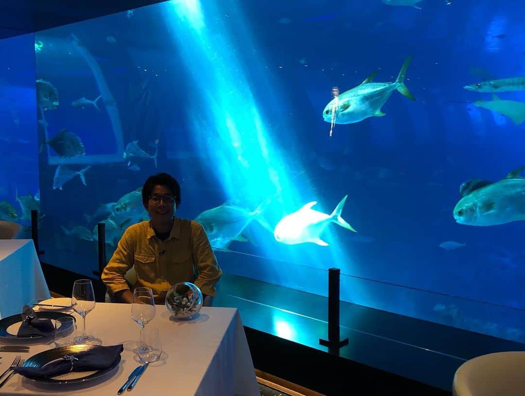 堀内大輝さんのインスタグラム写真 - (堀内大輝Instagram)「✈️ 気づけば海外出張も初めてさせてもらった年でした。 良い国だったなぁ。（仕事です）  #2019 #まとめ #4 #シンガポール #Singapore  #マリーナベイサンズ #marinabaysands  #3つのホテルの上にプール #泊まってはいません #ディレクターと現地撮影クルーと #USS #universalstudiosingapore  #マーライオン #前枠撮り #惜しい #目が染みてます #水族館 #レストラン #魚を見ながら魚を食べる #屋台 #カラスのふんが肩に落ちてきた #happyboy と現地人が慰めてくれた #名物 #チリクラブ #integratedresort」12月31日 17時46分 - hbc_daikihoriuchi