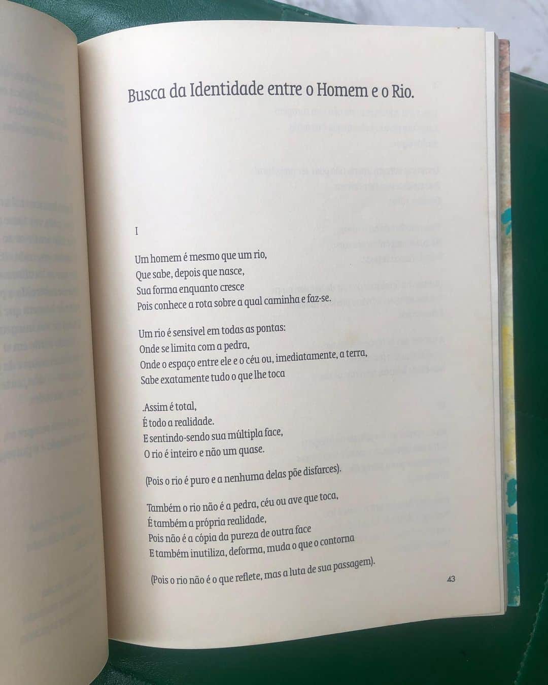 Alice Wegmannのインスタグラム：「a gente e o rio @pedrotourinho 💛」