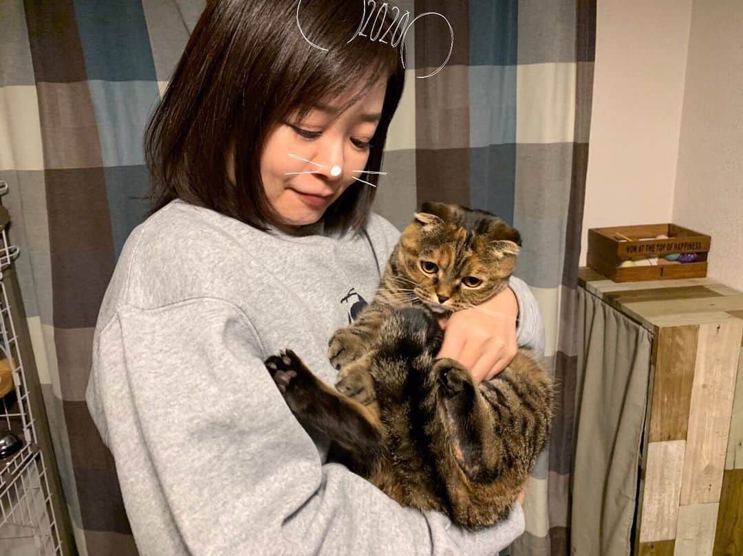 小林愛さんのインスタグラム写真 - (小林愛Instagram)「🎍明けましておめでとうございます🎍 今年も、るーたん共々よろしくお願いします✨✨✨ #猫  #ねこ #cat  #スコティッシュフォールド  #にゃんすたぐらむ　#猫と私」1月1日 4時19分 - love_me_ai