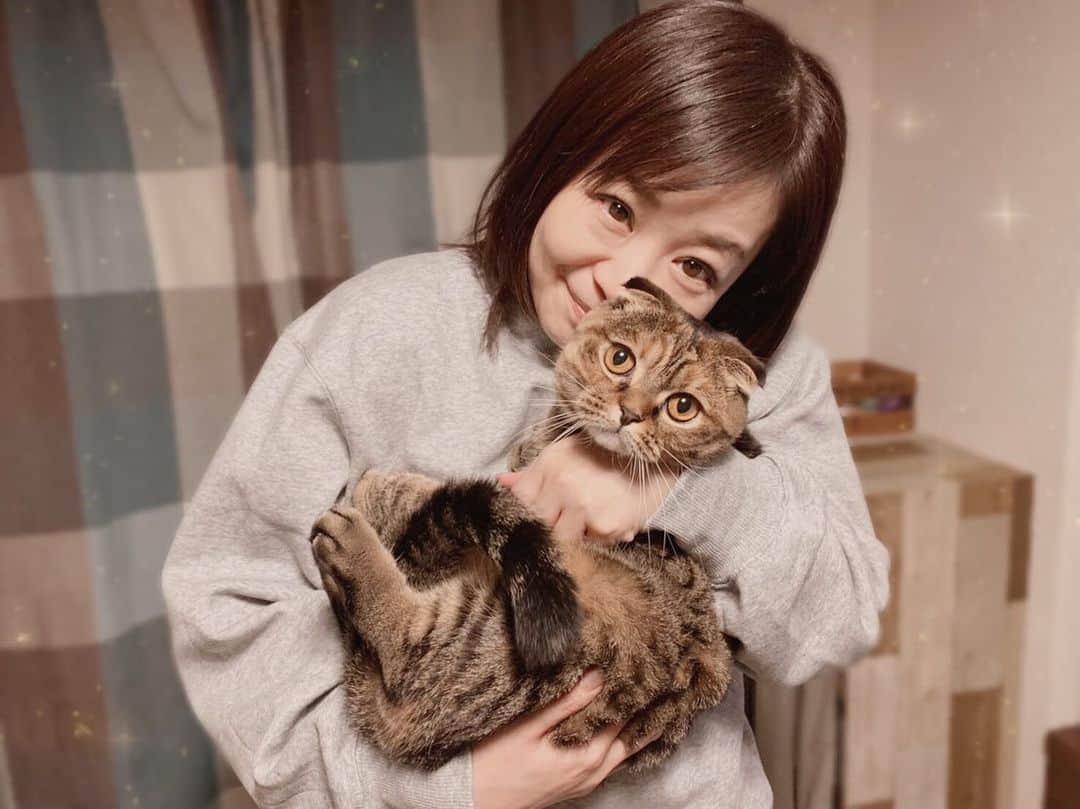 小林愛さんのインスタグラム写真 - (小林愛Instagram)「🎍明けましておめでとうございます🎍 今年も、るーたん共々よろしくお願いします✨✨✨ #猫  #ねこ #cat  #スコティッシュフォールド  #にゃんすたぐらむ　#猫と私」1月1日 4時19分 - love_me_ai