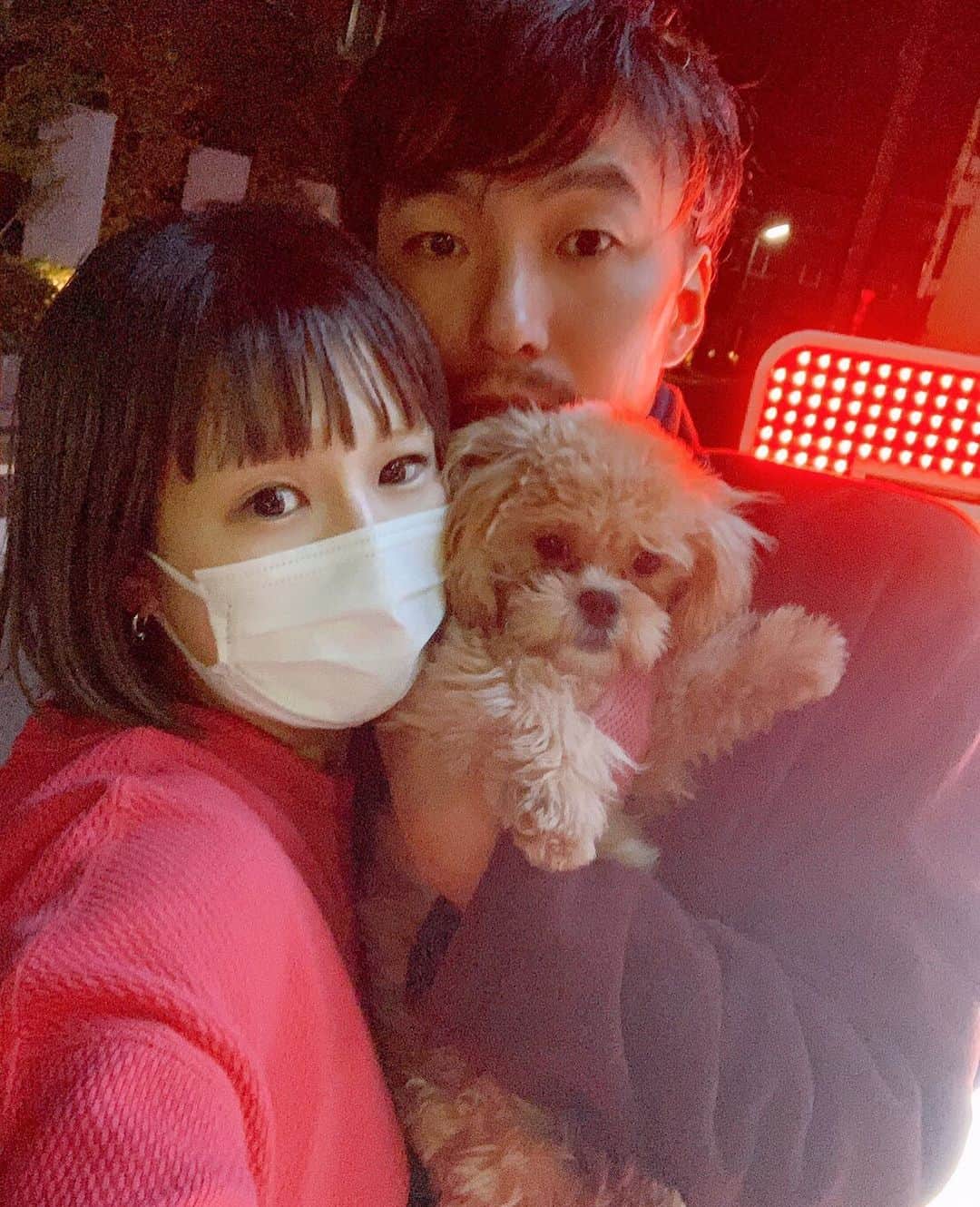 Manitasのインスタグラム：「2019年一番の出来事は家族が増えたことかなぁ〜👨‍👩‍👧💕 コマニと運命の出会いができて本当によかた。我が家に来てくれてありがとう。愛 今年はなんだか壮絶な一年だたなぁ〜。 よいことも悪いこともたくさんあた。 来年はもっと平和に！もっともっと楽しく！過ごしたいと思います。 みなさん、よいお年を〜〜〜！」