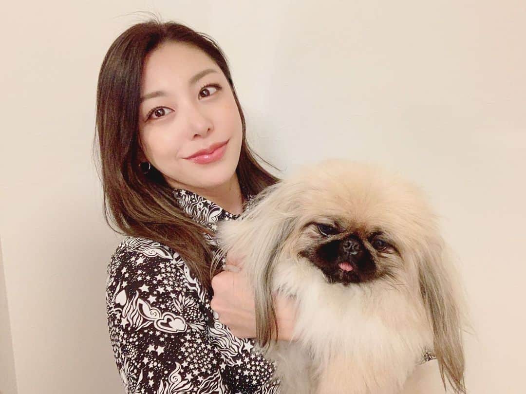 池田ゆりのインスタグラム：「2019年お世話になりました。 最高の1年でした。  来年もよろしくお願いします！  #令和 #2019 #2020 #大晦日 #元旦 #正月  #fitness #protein #beauty #bodymake #instagood #todaystraining #gym #style #tokyo #도쿄 #피트니스 #이케다유리」